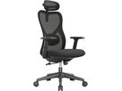 APOLLO Chaise de bureau Vyra CH-539A noir (7613058039996)