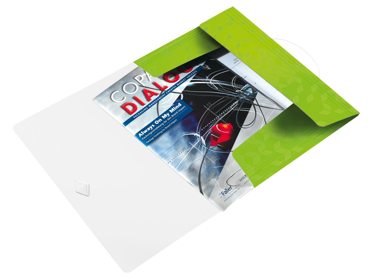 LEITZ Dossier de coll. WOW A4 45990054 vert 150 feuilles (4002432123346)