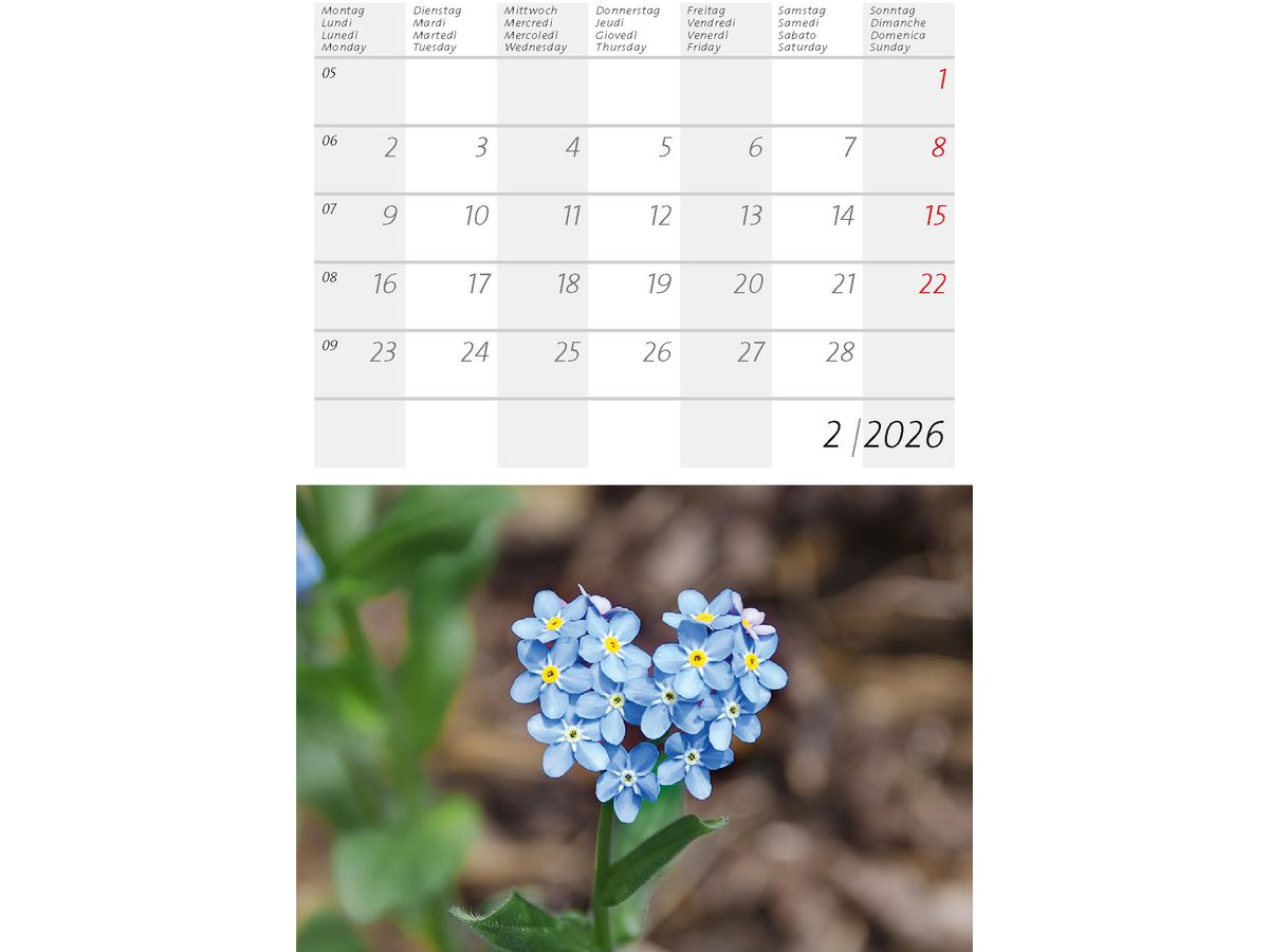 CALENDARIA Bildkalender 2026 9783036205397 Alpenblumen ML 14.8x22cm (9783036205397)