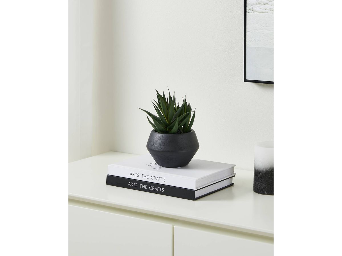 EGLO Plante artificielle 17.5cm 428491 vert, en pot (9008606367900)