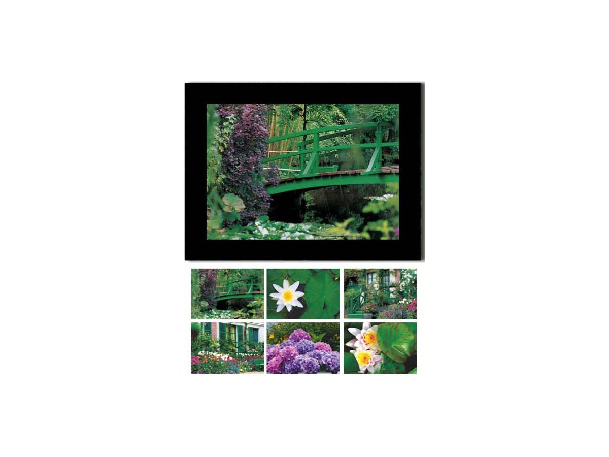 HASCHEMI Card Box 118 118 MONETS GARTEN (9783936222661)