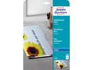 AVERY ZWECKFORM Film autocollant A4 2500 0.17mm Inkjet 10 feuilles (4004182025000)