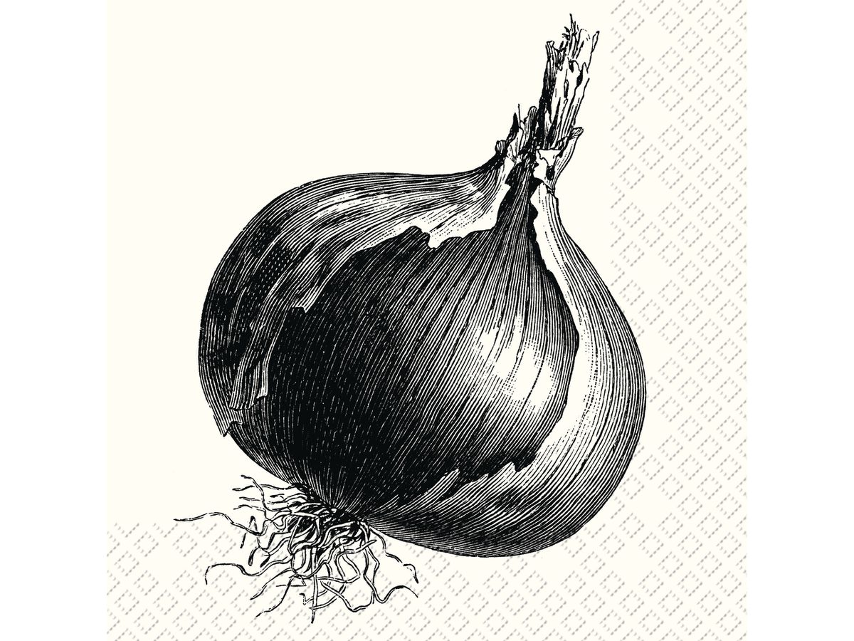 STEWO Salviete Bosco 2572528070 nero 33x33cm (7630050871850)