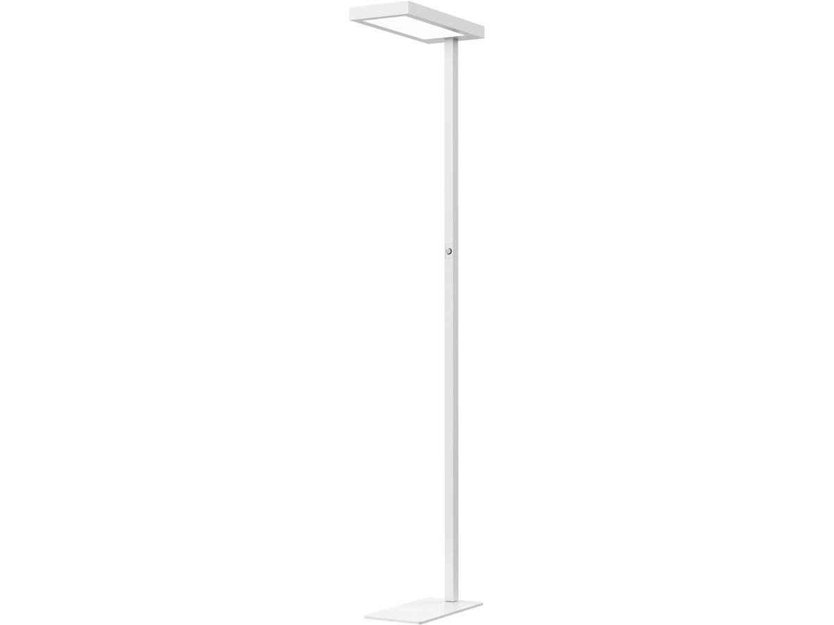 HANSA Lampada a stelo LED Jaspis 41-5010.727 regolabile, bianco (7612176085953)