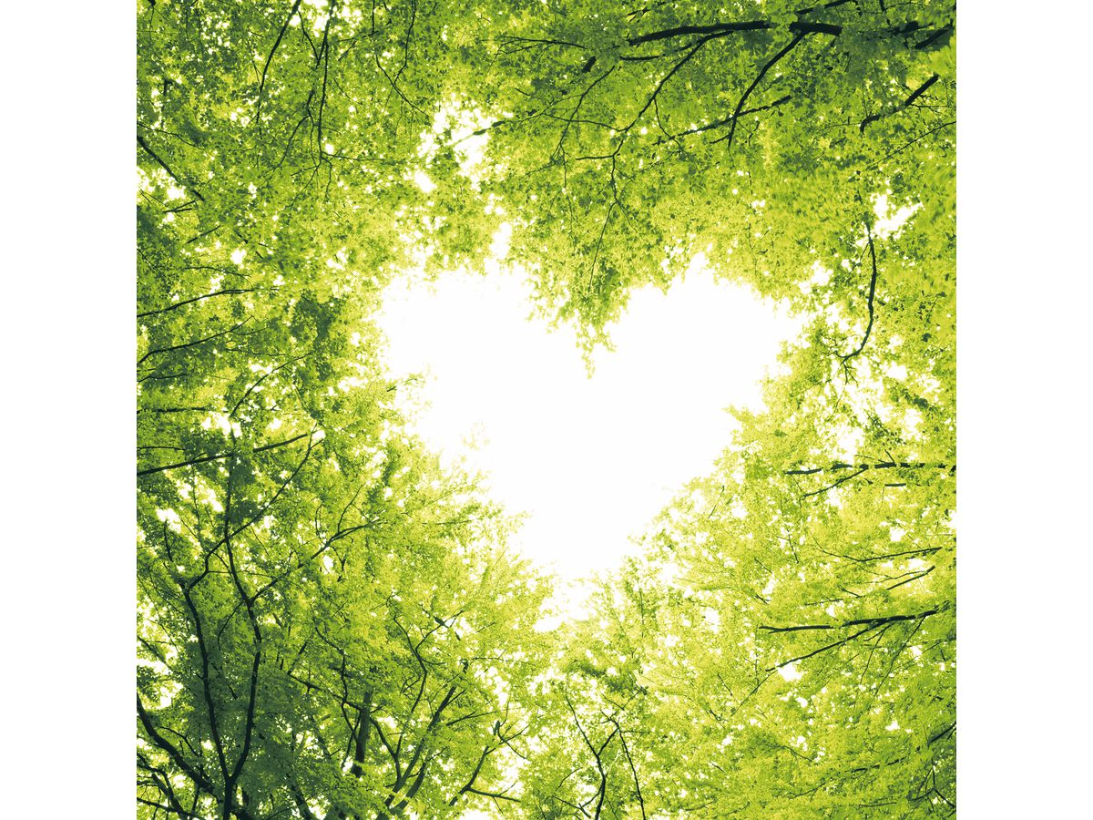 ELCO Tovagliolo Tessuto 33x33cm 19508800-097 3 veli, stampato 20pz. (7321011950881)