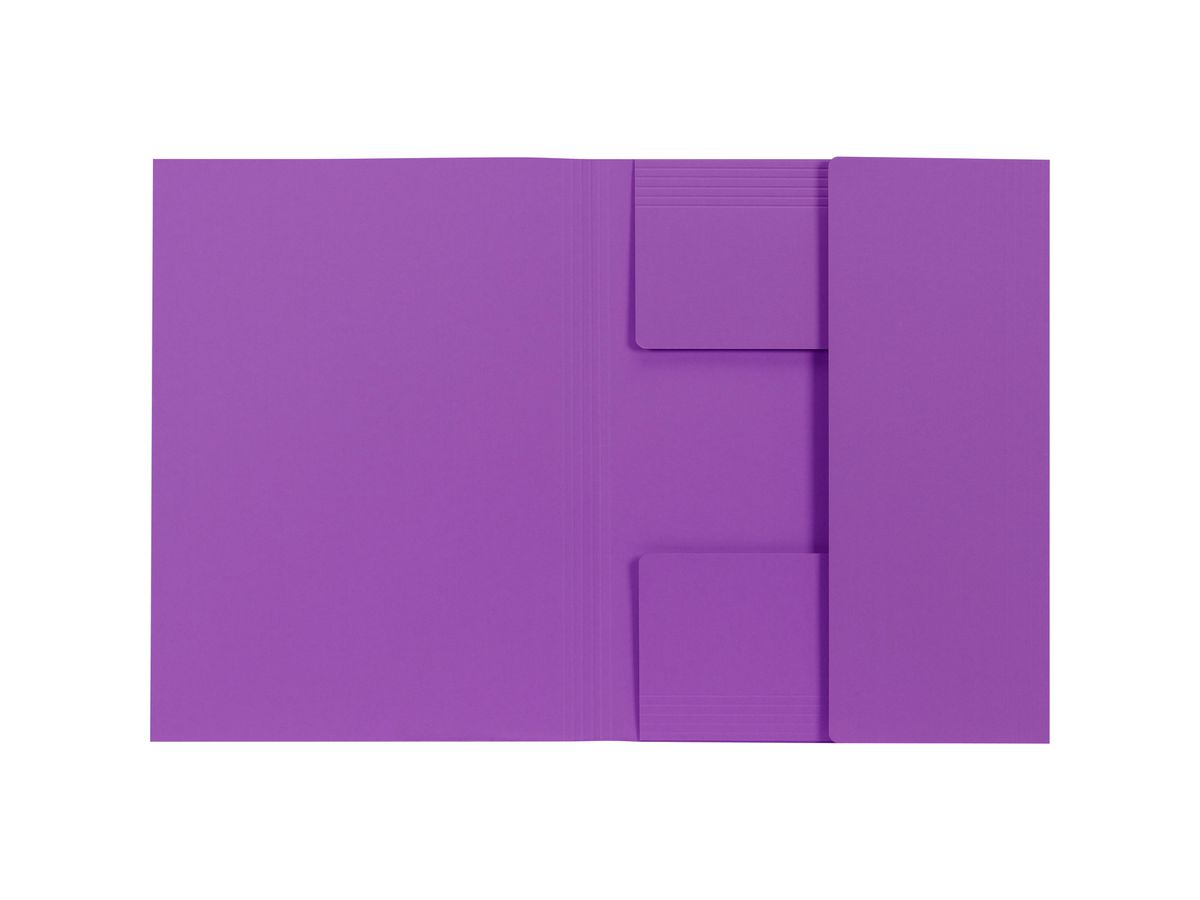 BIELLA Doss.-chem. Recycolor 17243041U 3 rabats, lilas (7611365454334)