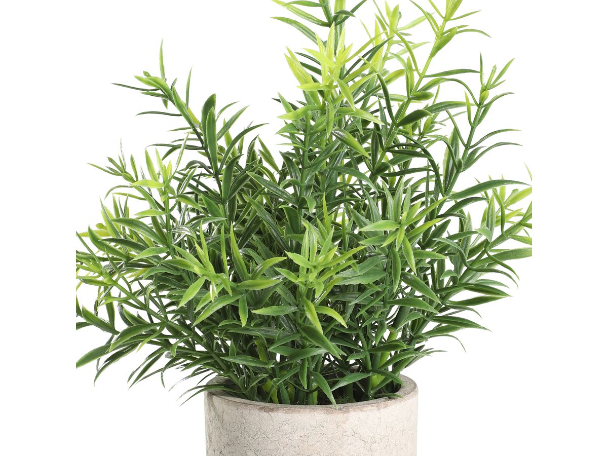 EGLO Pianta artificiale 22cm 428029 verde, in vaso (9008606253470)