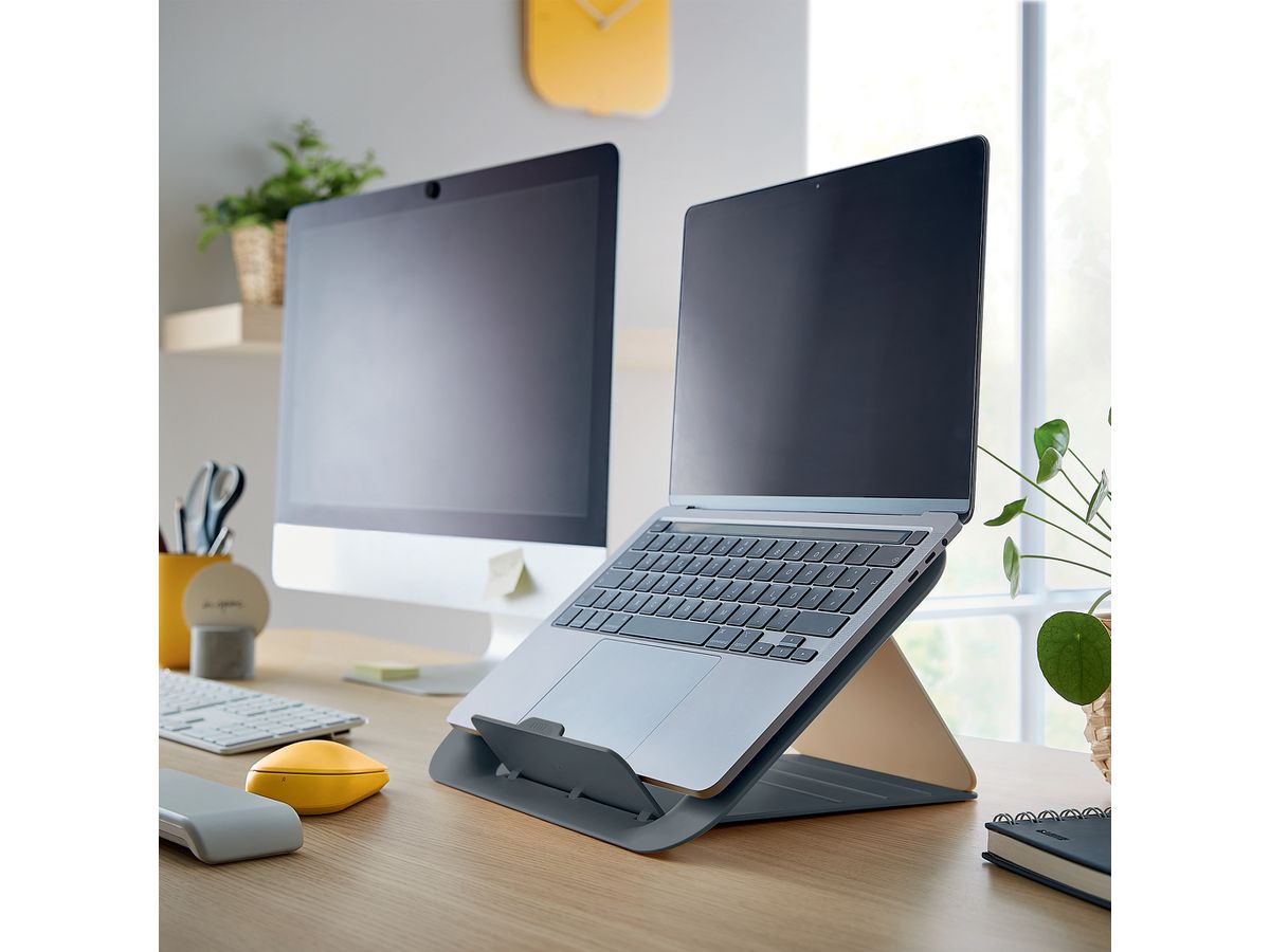 LEITZ Support d'ordinateur Cosy 6426-00-89 13/17'' Portables gris 1 pièce (4002432129362)