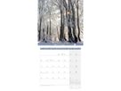 ACKERMANN Bildkalender 2026 4611 Zauber des Waldes ML 30x30cm (9783838446110)
