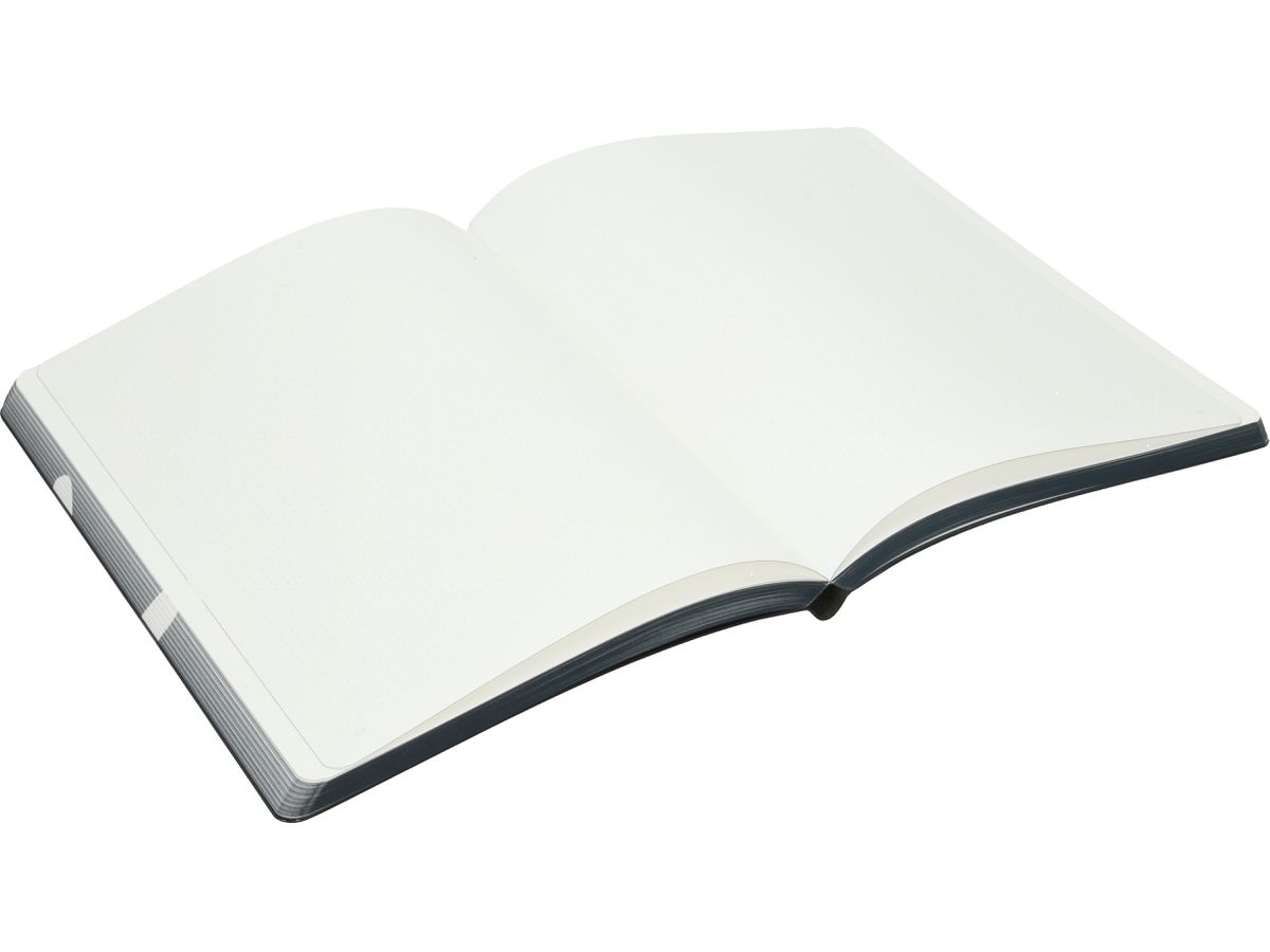 NUUNA Notizbuch Graphic L 56307 HOLY SHIT 256 Seiten (4260358556307)