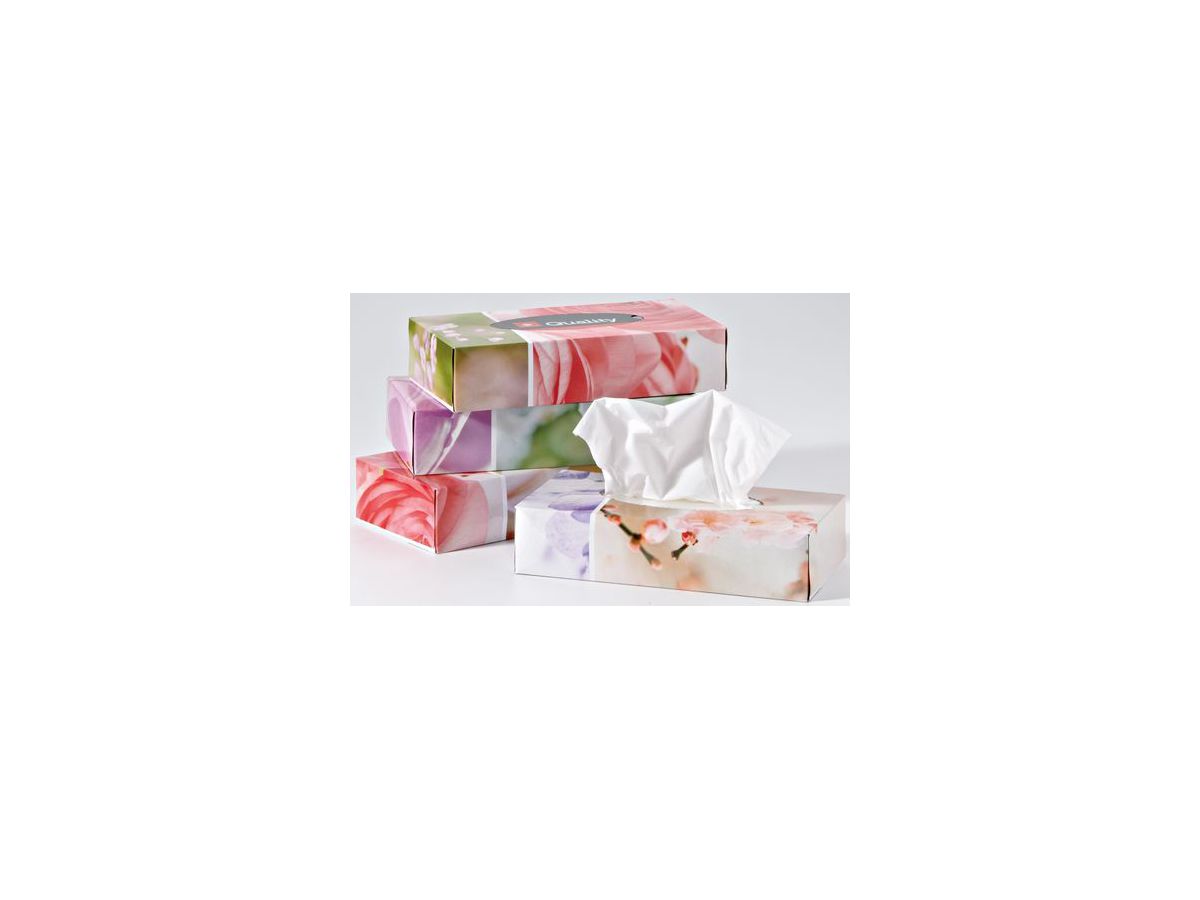 QUALITY Cosmetic tissues 992821 2x 4x100 pezzi (7610034561984)