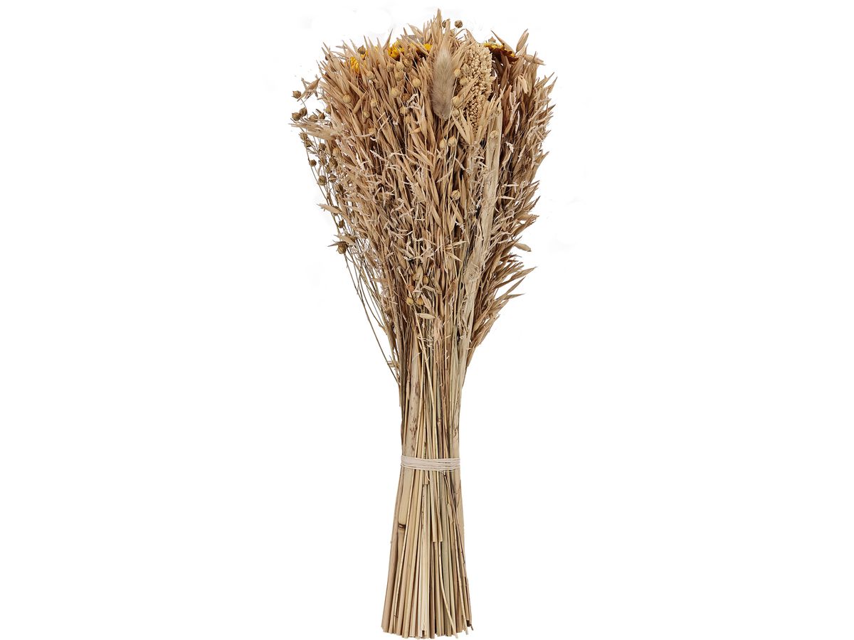 EGLO Fleur séchée 45cm 428049 beige (9008606258734)