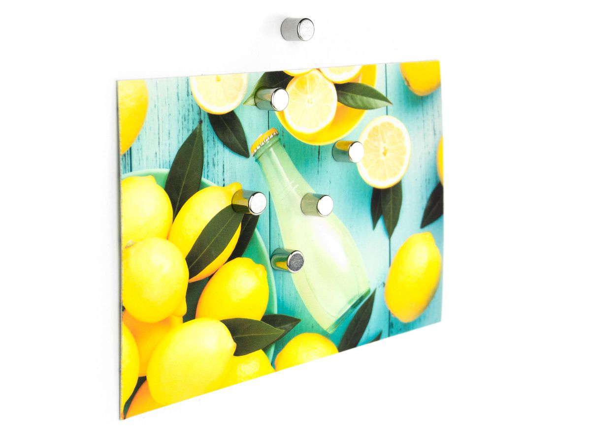 TRENDFORM Magnete BOLT CA2008 silber 6 Stück (7640161861077)