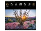 HARENBERG Calendario in cartolina 2026 3310116+26 Magic Nature DE 16x17.5cm (9783840036767)