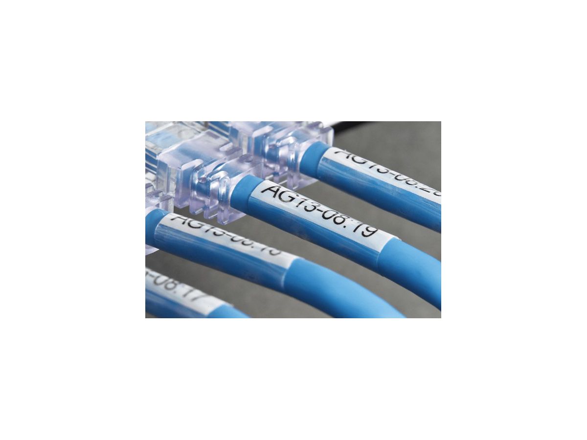 PTOUCH Nastro autolamin. nero/bianco TZE-SL261 PT-D800W/D900W 36mm (4977766806428)