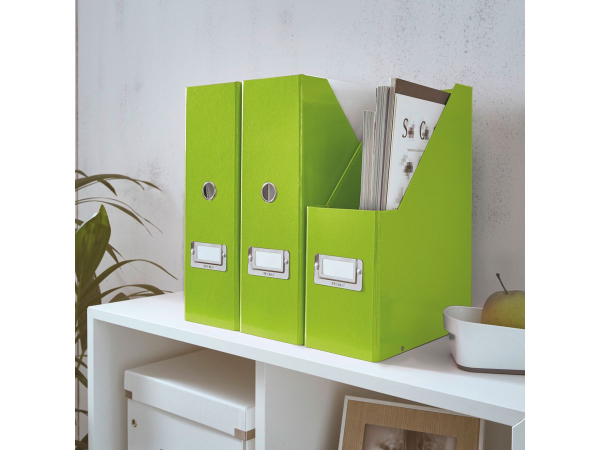 LEITZ Click & Store Boîte de class. 6047-00-54 vert (4002432123902)