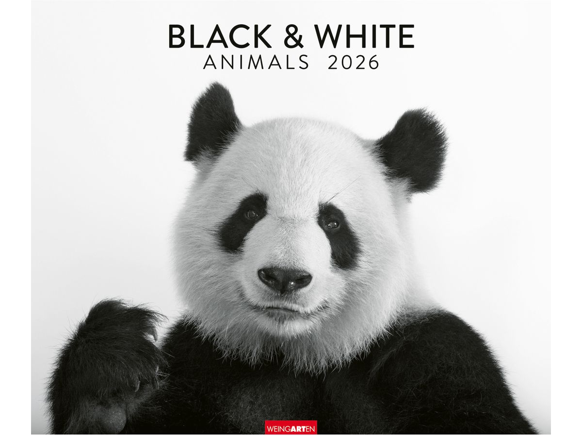 WEINGARTEN Calendario 2026 3312243+26 Black&White Animals 55x46cm (9783839902776)