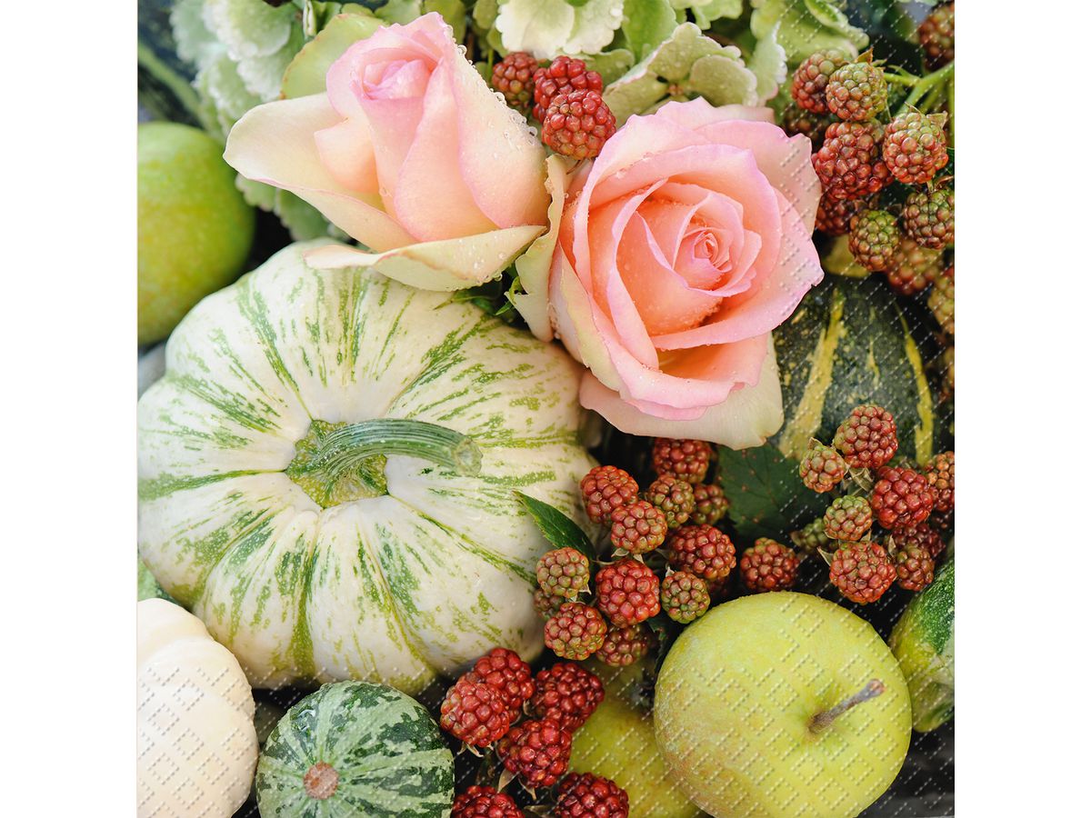 STEWO Servietten 33x33cm 2572681045 Gerda FSC g 20 Stück (7630021164257)